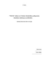 Research Papers '“TikTok” ietekme uz X skolas vidusskolēnu pašizpausmi, identitātes veidošanos un', 1.