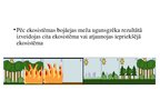 Presentations 'Vegetation succession among and within structural layers following wildfire in m', 8.