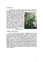 Research Papers 'Revealing Leaf Nodules: Symbiosis between Plant Psychotria Kirkii and Bacterium ', 3.