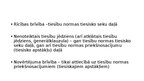 Presentations 'Rīcības brīvība, samērīgums un nenoteiktais tiesību jēdziens', 3.