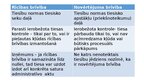 Presentations 'Rīcības brīvība, samērīgums un nenoteiktais tiesību jēdziens', 14.