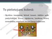 Presentations 'Bipolārie tranzistori', 10.