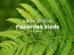 Presentations 'Kārlis Skalbe "Papardes zieds"', 1.