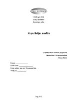 Research Papers 'Reputācijas analīze. SIA "Staburadze" un SIA "Fazer" salīdzinājums', 1.