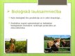 Presentations 'Lauksaimniecība pasaule un Latvijā', 7.