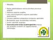 Presentations 'Lauksaimniecība pasaule un Latvijā', 9.