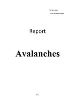 Research Papers 'Avalanches', 1.