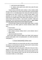 Term Papers 'Telekomunikāciju tarifu analīze', 10.