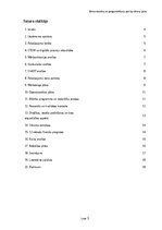 Business Plans 'Bērnu robotikas un programmēšanas pulciņa biznesa plāns Rīgā un Pierīgā', 3.