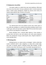 Business Plans 'Bērnu robotikas un programmēšanas pulciņa biznesa plāns Rīgā un Pierīgā', 9.