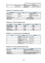 Business Plans 'Bērnu robotikas un programmēšanas pulciņa biznesa plāns Rīgā un Pierīgā', 19.
