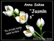 Presentations 'Anna Sakse "Jasmīns"', 1.