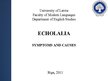 Presentations 'Symptoms and Causes of Echolalia', 1.
