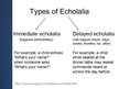 Presentations 'Symptoms and Causes of Echolalia', 3.