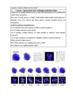 Summaries, Notes 'Konspekts integrēto mācību nodarbībai', 5.