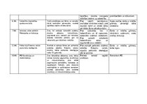 Practice Reports 'Skolotāja prakse III', 12.