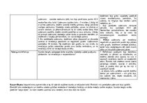 Practice Reports 'Skolotāja prakse III', 15.
