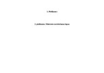 Practice Reports 'Skolotāja prakse III', 66.