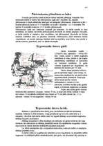 Research Papers 'Datoru lietošanas ergonomika', 4.