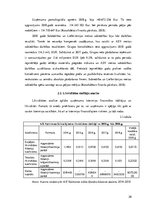Research Papers 'AS "Valmieras stikla šķiedra" maksātspējas un likviditātes analīze', 20.
