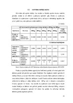 Research Papers 'AS "Valmieras stikla šķiedra" maksātspējas un likviditātes analīze', 22.
