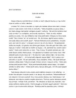 Essays 'Jānis Sudrabkalns "Spārnotā armāda". Analīze', 1.