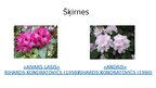 Presentations 'Rododendri', 8.