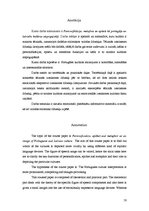 Term Papers 'Personifikācija, metafora un epitets kā portugāļu un latviešu kultūras atspoguļo', 50.