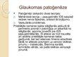 Presentations 'Glaukoma', 6.