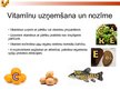 Presentations 'Vispārīga informācija par vitamīniem', 5.
