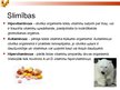 Presentations 'Vispārīga informācija par vitamīniem', 6.