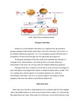 Research Papers 'Cilmes šūnas', 7.
