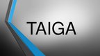 Presentations 'Taiga', 1.