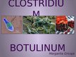 Presentations 'Clostridium botulinum baktērija', 1.