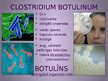 Presentations 'Clostridium botulinum baktērija', 3.