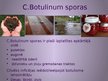 Presentations 'Clostridium botulinum baktērija', 4.