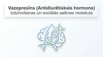 Presentations 'Vazopresīns', 1.