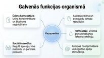 Presentations 'Vazopresīns', 6.