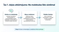 Presentations 'Vazopresīns', 14.