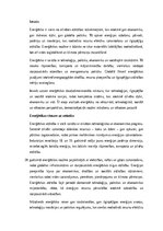 Essays 'Enerģētika: ilgtspējība, inovācijas un globālā nozīme', 1.