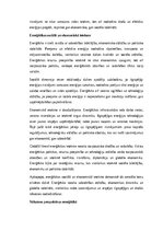 Essays 'Enerģētika: ilgtspējība, inovācijas un globālā nozīme', 3.