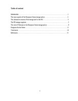 Essays 'Energy Policy in the European Union and Germany', 2.