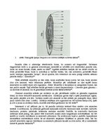 Summaries, Notes 'Zivju parazīts Sanguinicola inermis', 2.