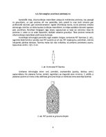 Summaries, Notes 'No grauzējiem aizsargājošas siltumizolācijas materiālu piedevas patents', 6.