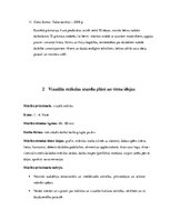 Research Papers 'Vizuālā māksla un tās mācību metodika - portfolio', 5.