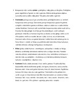 Research Papers 'Vizuālā māksla un tās mācību metodika - portfolio', 14.