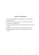 Research Papers 'Vesela cilvēka pamatvajadzības', 10.