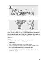 Research Papers 'Moksa terapijas pielietošana govs ārstēšanai', 9.