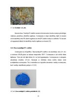 Research Papers 'Oksovanādija (IV) sulfāta sintēze', 12.