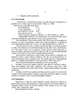 Term Papers 'Darba aizsardzības sistēmas pilnveidošana kokapstrādes uzņēmumā', 32.